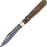 Нож BOKER 1906 SCHLOSS BURG BK113324